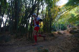 BIB: 
                            <button type="button" onclick="openModal(13659462)" class="btn btn-primary btn-sm float-right btn-popup" data-toggle="modal" data-target=".modal-high-quality">
                        <i class="fas fa-shopping-cart"></i> Add to Cart
                    </button>
                                            <button type="button" onclick="isThisMe(13659462, true)" class="btn btn-success btn-sm float-right btn-popup btn-isme hidden" data-toggle="tooltip" data-placement="bottom" title="นี่คือรูปของคุณใช่ไหม คลิกที่นี่เพื่อเอาเข้าอัลบั้ม">
                        <i class="fas fa-plus"></i> Add to album
                    </button>
                    <button type="button" onclick="isThisMe(13659462, false)" class="btn btn-warning btn-sm float-right btn-popup btn-isnotme hidden">
                        <i class="fas fa-ban"></i> Remove from album
                    </button>