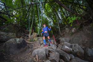 BIB: 
                            <button type="button" onclick="openModal(13697619)" class="btn btn-primary btn-sm float-right btn-popup" data-toggle="modal" data-target=".modal-high-quality">
                        <i class="fas fa-shopping-cart"></i> Add to Cart
                    </button>
                                            <button type="button" onclick="isThisMe(13697619, true)" class="btn btn-success btn-sm float-right btn-popup btn-isme hidden" data-toggle="tooltip" data-placement="bottom" title="นี่คือรูปของคุณใช่ไหม คลิกที่นี่เพื่อเอาเข้าอัลบั้ม">
                        <i class="fas fa-plus"></i> Add to album
                    </button>
                    <button type="button" onclick="isThisMe(13697619, false)" class="btn btn-warning btn-sm float-right btn-popup btn-isnotme hidden">
                        <i class="fas fa-ban"></i> Remove from album
                    </button>