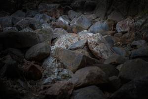 BIB: 
                            <button type="button" onclick="openModal(13683038)" class="btn btn-primary btn-sm float-right btn-popup" data-toggle="modal" data-target=".modal-high-quality">
                        <i class="fas fa-shopping-cart"></i> Add to Cart
                    </button>
                                            <button type="button" onclick="isThisMe(13683038, true)" class="btn btn-success btn-sm float-right btn-popup btn-isme hidden" data-toggle="tooltip" data-placement="bottom" title="นี่คือรูปของคุณใช่ไหม คลิกที่นี่เพื่อเอาเข้าอัลบั้ม">
                        <i class="fas fa-plus"></i> Add to album
                    </button>
                    <button type="button" onclick="isThisMe(13683038, false)" class="btn btn-warning btn-sm float-right btn-popup btn-isnotme hidden">
                        <i class="fas fa-ban"></i> Remove from album
                    </button>