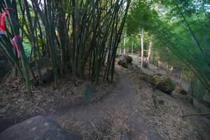 BIB: 
                            <button type="button" onclick="openModal(13659370)" class="btn btn-primary btn-sm float-right btn-popup" data-toggle="modal" data-target=".modal-high-quality">
                        <i class="fas fa-shopping-cart"></i> Add to Cart
                    </button>
                                            <button type="button" onclick="isThisMe(13659370, true)" class="btn btn-success btn-sm float-right btn-popup btn-isme hidden" data-toggle="tooltip" data-placement="bottom" title="นี่คือรูปของคุณใช่ไหม คลิกที่นี่เพื่อเอาเข้าอัลบั้ม">
                        <i class="fas fa-plus"></i> Add to album
                    </button>
                    <button type="button" onclick="isThisMe(13659370, false)" class="btn btn-warning btn-sm float-right btn-popup btn-isnotme hidden">
                        <i class="fas fa-ban"></i> Remove from album
                    </button>