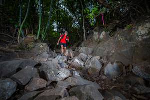 BIB: 
                            <button type="button" onclick="openModal(13693280)" class="btn btn-primary btn-sm float-right btn-popup" data-toggle="modal" data-target=".modal-high-quality">
                        <i class="fas fa-shopping-cart"></i> Add to Cart
                    </button>
                                            <button type="button" onclick="isThisMe(13693280, true)" class="btn btn-success btn-sm float-right btn-popup btn-isme hidden" data-toggle="tooltip" data-placement="bottom" title="นี่คือรูปของคุณใช่ไหม คลิกที่นี่เพื่อเอาเข้าอัลบั้ม">
                        <i class="fas fa-plus"></i> Add to album
                    </button>
                    <button type="button" onclick="isThisMe(13693280, false)" class="btn btn-warning btn-sm float-right btn-popup btn-isnotme hidden">
                        <i class="fas fa-ban"></i> Remove from album
                    </button>