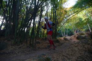 BIB: 
                            <button type="button" onclick="openModal(13659453)" class="btn btn-primary btn-sm float-right btn-popup" data-toggle="modal" data-target=".modal-high-quality">
                        <i class="fas fa-shopping-cart"></i> Add to Cart
                    </button>
                                            <button type="button" onclick="isThisMe(13659453, true)" class="btn btn-success btn-sm float-right btn-popup btn-isme hidden" data-toggle="tooltip" data-placement="bottom" title="นี่คือรูปของคุณใช่ไหม คลิกที่นี่เพื่อเอาเข้าอัลบั้ม">
                        <i class="fas fa-plus"></i> Add to album
                    </button>
                    <button type="button" onclick="isThisMe(13659453, false)" class="btn btn-warning btn-sm float-right btn-popup btn-isnotme hidden">
                        <i class="fas fa-ban"></i> Remove from album
                    </button>