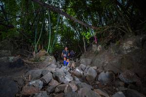 BIB: 
                            <button type="button" onclick="openModal(13693232)" class="btn btn-primary btn-sm float-right btn-popup" data-toggle="modal" data-target=".modal-high-quality">
                        <i class="fas fa-shopping-cart"></i> Add to Cart
                    </button>
                                            <button type="button" onclick="isThisMe(13693232, true)" class="btn btn-success btn-sm float-right btn-popup btn-isme hidden" data-toggle="tooltip" data-placement="bottom" title="นี่คือรูปของคุณใช่ไหม คลิกที่นี่เพื่อเอาเข้าอัลบั้ม">
                        <i class="fas fa-plus"></i> Add to album
                    </button>
                    <button type="button" onclick="isThisMe(13693232, false)" class="btn btn-warning btn-sm float-right btn-popup btn-isnotme hidden">
                        <i class="fas fa-ban"></i> Remove from album
                    </button>