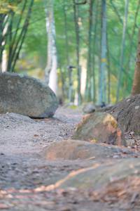 BIB: 
                            <button type="button" onclick="openModal(13659349)" class="btn btn-primary btn-sm float-right btn-popup" data-toggle="modal" data-target=".modal-high-quality">
                        <i class="fas fa-shopping-cart"></i> Add to Cart
                    </button>
                                            <button type="button" onclick="isThisMe(13659349, true)" class="btn btn-success btn-sm float-right btn-popup btn-isme hidden" data-toggle="tooltip" data-placement="bottom" title="นี่คือรูปของคุณใช่ไหม คลิกที่นี่เพื่อเอาเข้าอัลบั้ม">
                        <i class="fas fa-plus"></i> Add to album
                    </button>
                    <button type="button" onclick="isThisMe(13659349, false)" class="btn btn-warning btn-sm float-right btn-popup btn-isnotme hidden">
                        <i class="fas fa-ban"></i> Remove from album
                    </button>