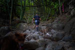 BIB: 
                            <button type="button" onclick="openModal(13682654)" class="btn btn-primary btn-sm float-right btn-popup" data-toggle="modal" data-target=".modal-high-quality">
                        <i class="fas fa-shopping-cart"></i> Add to Cart
                    </button>
                                            <button type="button" onclick="isThisMe(13682654, true)" class="btn btn-success btn-sm float-right btn-popup btn-isme hidden" data-toggle="tooltip" data-placement="bottom" title="นี่คือรูปของคุณใช่ไหม คลิกที่นี่เพื่อเอาเข้าอัลบั้ม">
                        <i class="fas fa-plus"></i> Add to album
                    </button>
                    <button type="button" onclick="isThisMe(13682654, false)" class="btn btn-warning btn-sm float-right btn-popup btn-isnotme hidden">
                        <i class="fas fa-ban"></i> Remove from album
                    </button>