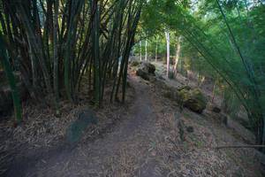 BIB: 
                            <button type="button" onclick="openModal(13659361)" class="btn btn-primary btn-sm float-right btn-popup" data-toggle="modal" data-target=".modal-high-quality">
                        <i class="fas fa-shopping-cart"></i> Add to Cart
                    </button>
                                            <button type="button" onclick="isThisMe(13659361, true)" class="btn btn-success btn-sm float-right btn-popup btn-isme hidden" data-toggle="tooltip" data-placement="bottom" title="นี่คือรูปของคุณใช่ไหม คลิกที่นี่เพื่อเอาเข้าอัลบั้ม">
                        <i class="fas fa-plus"></i> Add to album
                    </button>
                    <button type="button" onclick="isThisMe(13659361, false)" class="btn btn-warning btn-sm float-right btn-popup btn-isnotme hidden">
                        <i class="fas fa-ban"></i> Remove from album
                    </button>