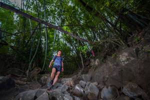 BIB: 
                            <button type="button" onclick="openModal(13693102)" class="btn btn-primary btn-sm float-right btn-popup" data-toggle="modal" data-target=".modal-high-quality">
                        <i class="fas fa-shopping-cart"></i> Add to Cart
                    </button>
                                            <button type="button" onclick="isThisMe(13693102, true)" class="btn btn-success btn-sm float-right btn-popup btn-isme hidden" data-toggle="tooltip" data-placement="bottom" title="นี่คือรูปของคุณใช่ไหม คลิกที่นี่เพื่อเอาเข้าอัลบั้ม">
                        <i class="fas fa-plus"></i> Add to album
                    </button>
                    <button type="button" onclick="isThisMe(13693102, false)" class="btn btn-warning btn-sm float-right btn-popup btn-isnotme hidden">
                        <i class="fas fa-ban"></i> Remove from album
                    </button>