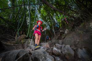 BIB: 
                            <button type="button" onclick="openModal(13697790)" class="btn btn-primary btn-sm float-right btn-popup" data-toggle="modal" data-target=".modal-high-quality">
                        <i class="fas fa-shopping-cart"></i> Add to Cart
                    </button>
                                            <button type="button" onclick="isThisMe(13697790, true)" class="btn btn-success btn-sm float-right btn-popup btn-isme hidden" data-toggle="tooltip" data-placement="bottom" title="นี่คือรูปของคุณใช่ไหม คลิกที่นี่เพื่อเอาเข้าอัลบั้ม">
                        <i class="fas fa-plus"></i> Add to album
                    </button>
                    <button type="button" onclick="isThisMe(13697790, false)" class="btn btn-warning btn-sm float-right btn-popup btn-isnotme hidden">
                        <i class="fas fa-ban"></i> Remove from album
                    </button>