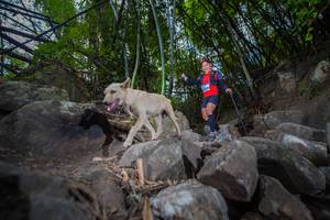 BIB: 
                            <button type="button" onclick="openModal(13693800)" class="btn btn-primary btn-sm float-right btn-popup" data-toggle="modal" data-target=".modal-high-quality">
                        <i class="fas fa-shopping-cart"></i> Add to Cart
                    </button>
                                            <button type="button" onclick="isThisMe(13693800, true)" class="btn btn-success btn-sm float-right btn-popup btn-isme hidden" data-toggle="tooltip" data-placement="bottom" title="นี่คือรูปของคุณใช่ไหม คลิกที่นี่เพื่อเอาเข้าอัลบั้ม">
                        <i class="fas fa-plus"></i> Add to album
                    </button>
                    <button type="button" onclick="isThisMe(13693800, false)" class="btn btn-warning btn-sm float-right btn-popup btn-isnotme hidden">
                        <i class="fas fa-ban"></i> Remove from album
                    </button>