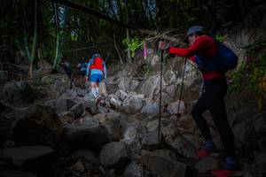 BIB: 
                            <button type="button" onclick="openModal(13681154)" class="btn btn-primary btn-sm float-right btn-popup" data-toggle="modal" data-target=".modal-high-quality">
                        <i class="fas fa-shopping-cart"></i> Add to Cart
                    </button>
                                            <button type="button" onclick="isThisMe(13681154, true)" class="btn btn-success btn-sm float-right btn-popup btn-isme hidden" data-toggle="tooltip" data-placement="bottom" title="นี่คือรูปของคุณใช่ไหม คลิกที่นี่เพื่อเอาเข้าอัลบั้ม">
                        <i class="fas fa-plus"></i> Add to album
                    </button>
                    <button type="button" onclick="isThisMe(13681154, false)" class="btn btn-warning btn-sm float-right btn-popup btn-isnotme hidden">
                        <i class="fas fa-ban"></i> Remove from album
                    </button>