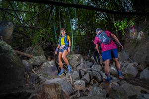 BIB: 
                            <button type="button" onclick="openModal(13681188)" class="btn btn-primary btn-sm float-right btn-popup" data-toggle="modal" data-target=".modal-high-quality">
                        <i class="fas fa-shopping-cart"></i> Add to Cart
                    </button>
                                            <button type="button" onclick="isThisMe(13681188, true)" class="btn btn-success btn-sm float-right btn-popup btn-isme hidden" data-toggle="tooltip" data-placement="bottom" title="นี่คือรูปของคุณใช่ไหม คลิกที่นี่เพื่อเอาเข้าอัลบั้ม">
                        <i class="fas fa-plus"></i> Add to album
                    </button>
                    <button type="button" onclick="isThisMe(13681188, false)" class="btn btn-warning btn-sm float-right btn-popup btn-isnotme hidden">
                        <i class="fas fa-ban"></i> Remove from album
                    </button>