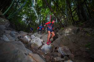 BIB: 
                            <button type="button" onclick="openModal(13698352)" class="btn btn-primary btn-sm float-right btn-popup" data-toggle="modal" data-target=".modal-high-quality">
                        <i class="fas fa-shopping-cart"></i> Add to Cart
                    </button>
                                            <button type="button" onclick="isThisMe(13698352, true)" class="btn btn-success btn-sm float-right btn-popup btn-isme hidden" data-toggle="tooltip" data-placement="bottom" title="นี่คือรูปของคุณใช่ไหม คลิกที่นี่เพื่อเอาเข้าอัลบั้ม">
                        <i class="fas fa-plus"></i> Add to album
                    </button>
                    <button type="button" onclick="isThisMe(13698352, false)" class="btn btn-warning btn-sm float-right btn-popup btn-isnotme hidden">
                        <i class="fas fa-ban"></i> Remove from album
                    </button>