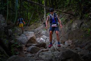 BIB: 
                            <button type="button" onclick="openModal(13697143)" class="btn btn-primary btn-sm float-right btn-popup" data-toggle="modal" data-target=".modal-high-quality">
                        <i class="fas fa-shopping-cart"></i> Add to Cart
                    </button>
                                            <button type="button" onclick="isThisMe(13697143, true)" class="btn btn-success btn-sm float-right btn-popup btn-isme hidden" data-toggle="tooltip" data-placement="bottom" title="นี่คือรูปของคุณใช่ไหม คลิกที่นี่เพื่อเอาเข้าอัลบั้ม">
                        <i class="fas fa-plus"></i> Add to album
                    </button>
                    <button type="button" onclick="isThisMe(13697143, false)" class="btn btn-warning btn-sm float-right btn-popup btn-isnotme hidden">
                        <i class="fas fa-ban"></i> Remove from album
                    </button>