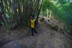 BIB: 
                            <button type="button" onclick="openModal(13659380)" class="btn btn-primary btn-sm float-right btn-popup" data-toggle="modal" data-target=".modal-high-quality">
                        <i class="fas fa-shopping-cart"></i> Add to Cart
                    </button>
                                            <button type="button" onclick="isThisMe(13659380, true)" class="btn btn-success btn-sm float-right btn-popup btn-isme hidden" data-toggle="tooltip" data-placement="bottom" title="นี่คือรูปของคุณใช่ไหม คลิกที่นี่เพื่อเอาเข้าอัลบั้ม">
                        <i class="fas fa-plus"></i> Add to album
                    </button>
                    <button type="button" onclick="isThisMe(13659380, false)" class="btn btn-warning btn-sm float-right btn-popup btn-isnotme hidden">
                        <i class="fas fa-ban"></i> Remove from album
                    </button>