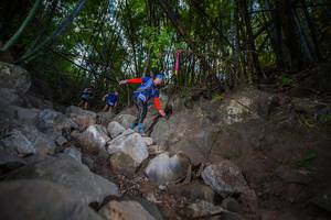 BIB: 
                            <button type="button" onclick="openModal(13698373)" class="btn btn-primary btn-sm float-right btn-popup" data-toggle="modal" data-target=".modal-high-quality">
                        <i class="fas fa-shopping-cart"></i> Add to Cart
                    </button>
                                            <button type="button" onclick="isThisMe(13698373, true)" class="btn btn-success btn-sm float-right btn-popup btn-isme hidden" data-toggle="tooltip" data-placement="bottom" title="นี่คือรูปของคุณใช่ไหม คลิกที่นี่เพื่อเอาเข้าอัลบั้ม">
                        <i class="fas fa-plus"></i> Add to album
                    </button>
                    <button type="button" onclick="isThisMe(13698373, false)" class="btn btn-warning btn-sm float-right btn-popup btn-isnotme hidden">
                        <i class="fas fa-ban"></i> Remove from album
                    </button>