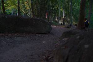 BIB: 
                            <button type="button" onclick="openModal(13659452)" class="btn btn-primary btn-sm float-right btn-popup" data-toggle="modal" data-target=".modal-high-quality">
                        <i class="fas fa-shopping-cart"></i> Add to Cart
                    </button>
                                            <button type="button" onclick="isThisMe(13659452, true)" class="btn btn-success btn-sm float-right btn-popup btn-isme hidden" data-toggle="tooltip" data-placement="bottom" title="นี่คือรูปของคุณใช่ไหม คลิกที่นี่เพื่อเอาเข้าอัลบั้ม">
                        <i class="fas fa-plus"></i> Add to album
                    </button>
                    <button type="button" onclick="isThisMe(13659452, false)" class="btn btn-warning btn-sm float-right btn-popup btn-isnotme hidden">
                        <i class="fas fa-ban"></i> Remove from album
                    </button>