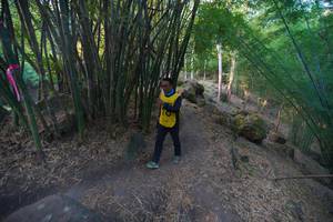 BIB: 
                            <button type="button" onclick="openModal(13659372)" class="btn btn-primary btn-sm float-right btn-popup" data-toggle="modal" data-target=".modal-high-quality">
                        <i class="fas fa-shopping-cart"></i> Add to Cart
                    </button>
                                            <button type="button" onclick="isThisMe(13659372, true)" class="btn btn-success btn-sm float-right btn-popup btn-isme hidden" data-toggle="tooltip" data-placement="bottom" title="นี่คือรูปของคุณใช่ไหม คลิกที่นี่เพื่อเอาเข้าอัลบั้ม">
                        <i class="fas fa-plus"></i> Add to album
                    </button>
                    <button type="button" onclick="isThisMe(13659372, false)" class="btn btn-warning btn-sm float-right btn-popup btn-isnotme hidden">
                        <i class="fas fa-ban"></i> Remove from album
                    </button>