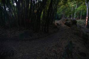 BIB: 
                            <button type="button" onclick="openModal(13659400)" class="btn btn-primary btn-sm float-right btn-popup" data-toggle="modal" data-target=".modal-high-quality">
                        <i class="fas fa-shopping-cart"></i> Add to Cart
                    </button>
                                            <button type="button" onclick="isThisMe(13659400, true)" class="btn btn-success btn-sm float-right btn-popup btn-isme hidden" data-toggle="tooltip" data-placement="bottom" title="นี่คือรูปของคุณใช่ไหม คลิกที่นี่เพื่อเอาเข้าอัลบั้ม">
                        <i class="fas fa-plus"></i> Add to album
                    </button>
                    <button type="button" onclick="isThisMe(13659400, false)" class="btn btn-warning btn-sm float-right btn-popup btn-isnotme hidden">
                        <i class="fas fa-ban"></i> Remove from album
                    </button>