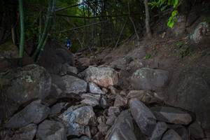 BIB: 
                            <button type="button" onclick="openModal(13697336)" class="btn btn-primary btn-sm float-right btn-popup" data-toggle="modal" data-target=".modal-high-quality">
                        <i class="fas fa-shopping-cart"></i> Add to Cart
                    </button>
                                            <button type="button" onclick="isThisMe(13697336, true)" class="btn btn-success btn-sm float-right btn-popup btn-isme hidden" data-toggle="tooltip" data-placement="bottom" title="นี่คือรูปของคุณใช่ไหม คลิกที่นี่เพื่อเอาเข้าอัลบั้ม">
                        <i class="fas fa-plus"></i> Add to album
                    </button>
                    <button type="button" onclick="isThisMe(13697336, false)" class="btn btn-warning btn-sm float-right btn-popup btn-isnotme hidden">
                        <i class="fas fa-ban"></i> Remove from album
                    </button>