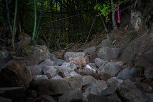 BIB: 
                            <button type="button" onclick="openModal(13682633)" class="btn btn-primary btn-sm float-right btn-popup" data-toggle="modal" data-target=".modal-high-quality">
                        <i class="fas fa-shopping-cart"></i> Add to Cart
                    </button>
                                            <button type="button" onclick="isThisMe(13682633, true)" class="btn btn-success btn-sm float-right btn-popup btn-isme hidden" data-toggle="tooltip" data-placement="bottom" title="นี่คือรูปของคุณใช่ไหม คลิกที่นี่เพื่อเอาเข้าอัลบั้ม">
                        <i class="fas fa-plus"></i> Add to album
                    </button>
                    <button type="button" onclick="isThisMe(13682633, false)" class="btn btn-warning btn-sm float-right btn-popup btn-isnotme hidden">
                        <i class="fas fa-ban"></i> Remove from album
                    </button>