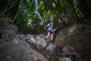 BIB: 
                            <button type="button" onclick="openModal(13698410)" class="btn btn-primary btn-sm float-right btn-popup" data-toggle="modal" data-target=".modal-high-quality">
                        <i class="fas fa-shopping-cart"></i> Add to Cart
                    </button>
                                            <button type="button" onclick="isThisMe(13698410, true)" class="btn btn-success btn-sm float-right btn-popup btn-isme hidden" data-toggle="tooltip" data-placement="bottom" title="นี่คือรูปของคุณใช่ไหม คลิกที่นี่เพื่อเอาเข้าอัลบั้ม">
                        <i class="fas fa-plus"></i> Add to album
                    </button>
                    <button type="button" onclick="isThisMe(13698410, false)" class="btn btn-warning btn-sm float-right btn-popup btn-isnotme hidden">
                        <i class="fas fa-ban"></i> Remove from album
                    </button>