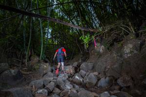 BIB: 
                            <button type="button" onclick="openModal(13681474)" class="btn btn-primary btn-sm float-right btn-popup" data-toggle="modal" data-target=".modal-high-quality">
                        <i class="fas fa-shopping-cart"></i> Add to Cart
                    </button>
                                            <button type="button" onclick="isThisMe(13681474, true)" class="btn btn-success btn-sm float-right btn-popup btn-isme hidden" data-toggle="tooltip" data-placement="bottom" title="นี่คือรูปของคุณใช่ไหม คลิกที่นี่เพื่อเอาเข้าอัลบั้ม">
                        <i class="fas fa-plus"></i> Add to album
                    </button>
                    <button type="button" onclick="isThisMe(13681474, false)" class="btn btn-warning btn-sm float-right btn-popup btn-isnotme hidden">
                        <i class="fas fa-ban"></i> Remove from album
                    </button>