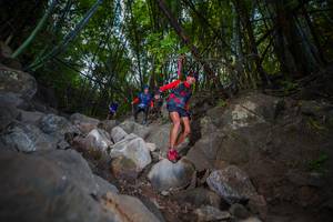 BIB: 
                            <button type="button" onclick="openModal(13698345)" class="btn btn-primary btn-sm float-right btn-popup" data-toggle="modal" data-target=".modal-high-quality">
                        <i class="fas fa-shopping-cart"></i> Add to Cart
                    </button>
                                            <button type="button" onclick="isThisMe(13698345, true)" class="btn btn-success btn-sm float-right btn-popup btn-isme hidden" data-toggle="tooltip" data-placement="bottom" title="นี่คือรูปของคุณใช่ไหม คลิกที่นี่เพื่อเอาเข้าอัลบั้ม">
                        <i class="fas fa-plus"></i> Add to album
                    </button>
                    <button type="button" onclick="isThisMe(13698345, false)" class="btn btn-warning btn-sm float-right btn-popup btn-isnotme hidden">
                        <i class="fas fa-ban"></i> Remove from album
                    </button>