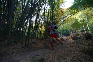 BIB: 
                            <button type="button" onclick="openModal(13659447)" class="btn btn-primary btn-sm float-right btn-popup" data-toggle="modal" data-target=".modal-high-quality">
                        <i class="fas fa-shopping-cart"></i> Add to Cart
                    </button>
                                            <button type="button" onclick="isThisMe(13659447, true)" class="btn btn-success btn-sm float-right btn-popup btn-isme hidden" data-toggle="tooltip" data-placement="bottom" title="นี่คือรูปของคุณใช่ไหม คลิกที่นี่เพื่อเอาเข้าอัลบั้ม">
                        <i class="fas fa-plus"></i> Add to album
                    </button>
                    <button type="button" onclick="isThisMe(13659447, false)" class="btn btn-warning btn-sm float-right btn-popup btn-isnotme hidden">
                        <i class="fas fa-ban"></i> Remove from album
                    </button>