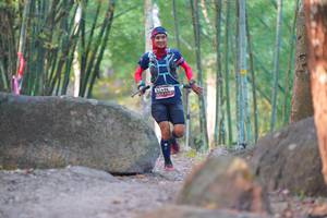 BIB: 
                            <button type="button" onclick="openModal(13659323)" class="btn btn-primary btn-sm float-right btn-popup" data-toggle="modal" data-target=".modal-high-quality">
                        <i class="fas fa-shopping-cart"></i> Add to Cart
                    </button>
                                            <button type="button" onclick="isThisMe(13659323, true)" class="btn btn-success btn-sm float-right btn-popup btn-isme hidden" data-toggle="tooltip" data-placement="bottom" title="นี่คือรูปของคุณใช่ไหม คลิกที่นี่เพื่อเอาเข้าอัลบั้ม">
                        <i class="fas fa-plus"></i> Add to album
                    </button>
                    <button type="button" onclick="isThisMe(13659323, false)" class="btn btn-warning btn-sm float-right btn-popup btn-isnotme hidden">
                        <i class="fas fa-ban"></i> Remove from album
                    </button>