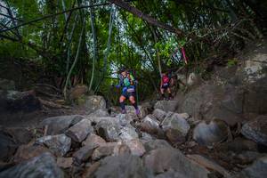 BIB: 
                            <button type="button" onclick="openModal(13693052)" class="btn btn-primary btn-sm float-right btn-popup" data-toggle="modal" data-target=".modal-high-quality">
                        <i class="fas fa-shopping-cart"></i> Add to Cart
                    </button>
                                            <button type="button" onclick="isThisMe(13693052, true)" class="btn btn-success btn-sm float-right btn-popup btn-isme hidden" data-toggle="tooltip" data-placement="bottom" title="นี่คือรูปของคุณใช่ไหม คลิกที่นี่เพื่อเอาเข้าอัลบั้ม">
                        <i class="fas fa-plus"></i> Add to album
                    </button>
                    <button type="button" onclick="isThisMe(13693052, false)" class="btn btn-warning btn-sm float-right btn-popup btn-isnotme hidden">
                        <i class="fas fa-ban"></i> Remove from album
                    </button>