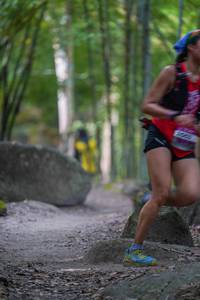 BIB: 
                            <button type="button" onclick="openModal(13660031)" class="btn btn-primary btn-sm float-right btn-popup" data-toggle="modal" data-target=".modal-high-quality">
                        <i class="fas fa-shopping-cart"></i> Add to Cart
                    </button>
                                            <button type="button" onclick="isThisMe(13660031, true)" class="btn btn-success btn-sm float-right btn-popup btn-isme hidden" data-toggle="tooltip" data-placement="bottom" title="นี่คือรูปของคุณใช่ไหม คลิกที่นี่เพื่อเอาเข้าอัลบั้ม">
                        <i class="fas fa-plus"></i> Add to album
                    </button>
                    <button type="button" onclick="isThisMe(13660031, false)" class="btn btn-warning btn-sm float-right btn-popup btn-isnotme hidden">
                        <i class="fas fa-ban"></i> Remove from album
                    </button>