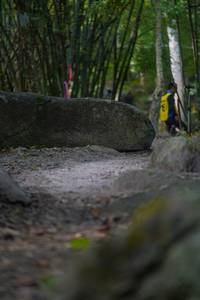 BIB: 
                            <button type="button" onclick="openModal(13659765)" class="btn btn-primary btn-sm float-right btn-popup" data-toggle="modal" data-target=".modal-high-quality">
                        <i class="fas fa-shopping-cart"></i> Add to Cart
                    </button>
                                            <button type="button" onclick="isThisMe(13659765, true)" class="btn btn-success btn-sm float-right btn-popup btn-isme hidden" data-toggle="tooltip" data-placement="bottom" title="นี่คือรูปของคุณใช่ไหม คลิกที่นี่เพื่อเอาเข้าอัลบั้ม">
                        <i class="fas fa-plus"></i> Add to album
                    </button>
                    <button type="button" onclick="isThisMe(13659765, false)" class="btn btn-warning btn-sm float-right btn-popup btn-isnotme hidden">
                        <i class="fas fa-ban"></i> Remove from album
                    </button>