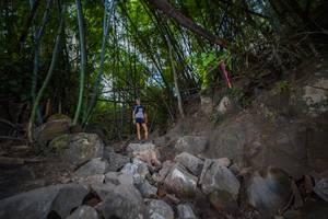 BIB: 
                            <button type="button" onclick="openModal(13697421)" class="btn btn-primary btn-sm float-right btn-popup" data-toggle="modal" data-target=".modal-high-quality">
                        <i class="fas fa-shopping-cart"></i> Add to Cart
                    </button>
                                            <button type="button" onclick="isThisMe(13697421, true)" class="btn btn-success btn-sm float-right btn-popup btn-isme hidden" data-toggle="tooltip" data-placement="bottom" title="นี่คือรูปของคุณใช่ไหม คลิกที่นี่เพื่อเอาเข้าอัลบั้ม">
                        <i class="fas fa-plus"></i> Add to album
                    </button>
                    <button type="button" onclick="isThisMe(13697421, false)" class="btn btn-warning btn-sm float-right btn-popup btn-isnotme hidden">
                        <i class="fas fa-ban"></i> Remove from album
                    </button>