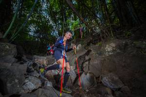 BIB: 
                            <button type="button" onclick="openModal(13698909)" class="btn btn-primary btn-sm float-right btn-popup" data-toggle="modal" data-target=".modal-high-quality">
                        <i class="fas fa-shopping-cart"></i> Add to Cart
                    </button>
                                            <button type="button" onclick="isThisMe(13698909, true)" class="btn btn-success btn-sm float-right btn-popup btn-isme hidden" data-toggle="tooltip" data-placement="bottom" title="นี่คือรูปของคุณใช่ไหม คลิกที่นี่เพื่อเอาเข้าอัลบั้ม">
                        <i class="fas fa-plus"></i> Add to album
                    </button>
                    <button type="button" onclick="isThisMe(13698909, false)" class="btn btn-warning btn-sm float-right btn-popup btn-isnotme hidden">
                        <i class="fas fa-ban"></i> Remove from album
                    </button>