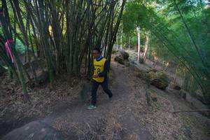 BIB: 
                            <button type="button" onclick="openModal(13659375)" class="btn btn-primary btn-sm float-right btn-popup" data-toggle="modal" data-target=".modal-high-quality">
                        <i class="fas fa-shopping-cart"></i> Add to Cart
                    </button>
                                            <button type="button" onclick="isThisMe(13659375, true)" class="btn btn-success btn-sm float-right btn-popup btn-isme hidden" data-toggle="tooltip" data-placement="bottom" title="นี่คือรูปของคุณใช่ไหม คลิกที่นี่เพื่อเอาเข้าอัลบั้ม">
                        <i class="fas fa-plus"></i> Add to album
                    </button>
                    <button type="button" onclick="isThisMe(13659375, false)" class="btn btn-warning btn-sm float-right btn-popup btn-isnotme hidden">
                        <i class="fas fa-ban"></i> Remove from album
                    </button>