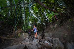 BIB: 
                            <button type="button" onclick="openModal(13698588)" class="btn btn-primary btn-sm float-right btn-popup" data-toggle="modal" data-target=".modal-high-quality">
                        <i class="fas fa-shopping-cart"></i> Add to Cart
                    </button>
                                            <button type="button" onclick="isThisMe(13698588, true)" class="btn btn-success btn-sm float-right btn-popup btn-isme hidden" data-toggle="tooltip" data-placement="bottom" title="นี่คือรูปของคุณใช่ไหม คลิกที่นี่เพื่อเอาเข้าอัลบั้ม">
                        <i class="fas fa-plus"></i> Add to album
                    </button>
                    <button type="button" onclick="isThisMe(13698588, false)" class="btn btn-warning btn-sm float-right btn-popup btn-isnotme hidden">
                        <i class="fas fa-ban"></i> Remove from album
                    </button>