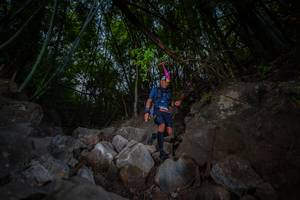 BIB: 
                            <button type="button" onclick="openModal(13694987)" class="btn btn-primary btn-sm float-right btn-popup" data-toggle="modal" data-target=".modal-high-quality">
                        <i class="fas fa-shopping-cart"></i> Add to Cart
                    </button>
                                            <button type="button" onclick="isThisMe(13694987, true)" class="btn btn-success btn-sm float-right btn-popup btn-isme hidden" data-toggle="tooltip" data-placement="bottom" title="นี่คือรูปของคุณใช่ไหม คลิกที่นี่เพื่อเอาเข้าอัลบั้ม">
                        <i class="fas fa-plus"></i> Add to album
                    </button>
                    <button type="button" onclick="isThisMe(13694987, false)" class="btn btn-warning btn-sm float-right btn-popup btn-isnotme hidden">
                        <i class="fas fa-ban"></i> Remove from album
                    </button>