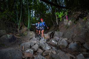 BIB: 
                            <button type="button" onclick="openModal(13682547)" class="btn btn-primary btn-sm float-right btn-popup" data-toggle="modal" data-target=".modal-high-quality">
                        <i class="fas fa-shopping-cart"></i> Add to Cart
                    </button>
                                            <button type="button" onclick="isThisMe(13682547, true)" class="btn btn-success btn-sm float-right btn-popup btn-isme hidden" data-toggle="tooltip" data-placement="bottom" title="นี่คือรูปของคุณใช่ไหม คลิกที่นี่เพื่อเอาเข้าอัลบั้ม">
                        <i class="fas fa-plus"></i> Add to album
                    </button>
                    <button type="button" onclick="isThisMe(13682547, false)" class="btn btn-warning btn-sm float-right btn-popup btn-isnotme hidden">
                        <i class="fas fa-ban"></i> Remove from album
                    </button>