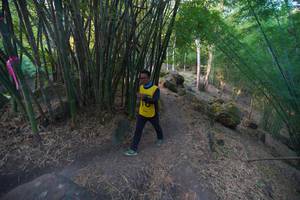 BIB: 
                            <button type="button" onclick="openModal(13659373)" class="btn btn-primary btn-sm float-right btn-popup" data-toggle="modal" data-target=".modal-high-quality">
                        <i class="fas fa-shopping-cart"></i> Add to Cart
                    </button>
                                            <button type="button" onclick="isThisMe(13659373, true)" class="btn btn-success btn-sm float-right btn-popup btn-isme hidden" data-toggle="tooltip" data-placement="bottom" title="นี่คือรูปของคุณใช่ไหม คลิกที่นี่เพื่อเอาเข้าอัลบั้ม">
                        <i class="fas fa-plus"></i> Add to album
                    </button>
                    <button type="button" onclick="isThisMe(13659373, false)" class="btn btn-warning btn-sm float-right btn-popup btn-isnotme hidden">
                        <i class="fas fa-ban"></i> Remove from album
                    </button>