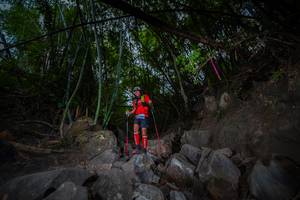 BIB: 
                            <button type="button" onclick="openModal(13694251)" class="btn btn-primary btn-sm float-right btn-popup" data-toggle="modal" data-target=".modal-high-quality">
                        <i class="fas fa-shopping-cart"></i> Add to Cart
                    </button>
                                            <button type="button" onclick="isThisMe(13694251, true)" class="btn btn-success btn-sm float-right btn-popup btn-isme hidden" data-toggle="tooltip" data-placement="bottom" title="นี่คือรูปของคุณใช่ไหม คลิกที่นี่เพื่อเอาเข้าอัลบั้ม">
                        <i class="fas fa-plus"></i> Add to album
                    </button>
                    <button type="button" onclick="isThisMe(13694251, false)" class="btn btn-warning btn-sm float-right btn-popup btn-isnotme hidden">
                        <i class="fas fa-ban"></i> Remove from album
                    </button>