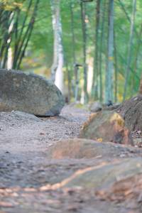 BIB: 
                            <button type="button" onclick="openModal(13659346)" class="btn btn-primary btn-sm float-right btn-popup" data-toggle="modal" data-target=".modal-high-quality">
                        <i class="fas fa-shopping-cart"></i> Add to Cart
                    </button>
                                            <button type="button" onclick="isThisMe(13659346, true)" class="btn btn-success btn-sm float-right btn-popup btn-isme hidden" data-toggle="tooltip" data-placement="bottom" title="นี่คือรูปของคุณใช่ไหม คลิกที่นี่เพื่อเอาเข้าอัลบั้ม">
                        <i class="fas fa-plus"></i> Add to album
                    </button>
                    <button type="button" onclick="isThisMe(13659346, false)" class="btn btn-warning btn-sm float-right btn-popup btn-isnotme hidden">
                        <i class="fas fa-ban"></i> Remove from album
                    </button>