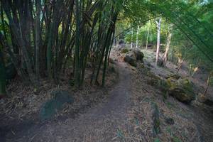 BIB: 
                            <button type="button" onclick="openModal(13659384)" class="btn btn-primary btn-sm float-right btn-popup" data-toggle="modal" data-target=".modal-high-quality">
                        <i class="fas fa-shopping-cart"></i> Add to Cart
                    </button>
                                            <button type="button" onclick="isThisMe(13659384, true)" class="btn btn-success btn-sm float-right btn-popup btn-isme hidden" data-toggle="tooltip" data-placement="bottom" title="นี่คือรูปของคุณใช่ไหม คลิกที่นี่เพื่อเอาเข้าอัลบั้ม">
                        <i class="fas fa-plus"></i> Add to album
                    </button>
                    <button type="button" onclick="isThisMe(13659384, false)" class="btn btn-warning btn-sm float-right btn-popup btn-isnotme hidden">
                        <i class="fas fa-ban"></i> Remove from album
                    </button>