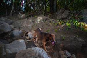 BIB: 
                            <button type="button" onclick="openModal(13693843)" class="btn btn-primary btn-sm float-right btn-popup" data-toggle="modal" data-target=".modal-high-quality">
                        <i class="fas fa-shopping-cart"></i> Add to Cart
                    </button>
                                            <button type="button" onclick="isThisMe(13693843, true)" class="btn btn-success btn-sm float-right btn-popup btn-isme hidden" data-toggle="tooltip" data-placement="bottom" title="นี่คือรูปของคุณใช่ไหม คลิกที่นี่เพื่อเอาเข้าอัลบั้ม">
                        <i class="fas fa-plus"></i> Add to album
                    </button>
                    <button type="button" onclick="isThisMe(13693843, false)" class="btn btn-warning btn-sm float-right btn-popup btn-isnotme hidden">
                        <i class="fas fa-ban"></i> Remove from album
                    </button>