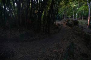 BIB: 
                            <button type="button" onclick="openModal(13659402)" class="btn btn-primary btn-sm float-right btn-popup" data-toggle="modal" data-target=".modal-high-quality">
                        <i class="fas fa-shopping-cart"></i> Add to Cart
                    </button>
                                            <button type="button" onclick="isThisMe(13659402, true)" class="btn btn-success btn-sm float-right btn-popup btn-isme hidden" data-toggle="tooltip" data-placement="bottom" title="นี่คือรูปของคุณใช่ไหม คลิกที่นี่เพื่อเอาเข้าอัลบั้ม">
                        <i class="fas fa-plus"></i> Add to album
                    </button>
                    <button type="button" onclick="isThisMe(13659402, false)" class="btn btn-warning btn-sm float-right btn-popup btn-isnotme hidden">
                        <i class="fas fa-ban"></i> Remove from album
                    </button>