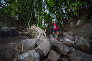 BIB: 
                            <button type="button" onclick="openModal(13693798)" class="btn btn-primary btn-sm float-right btn-popup" data-toggle="modal" data-target=".modal-high-quality">
                        <i class="fas fa-shopping-cart"></i> Add to Cart
                    </button>
                                            <button type="button" onclick="isThisMe(13693798, true)" class="btn btn-success btn-sm float-right btn-popup btn-isme hidden" data-toggle="tooltip" data-placement="bottom" title="นี่คือรูปของคุณใช่ไหม คลิกที่นี่เพื่อเอาเข้าอัลบั้ม">
                        <i class="fas fa-plus"></i> Add to album
                    </button>
                    <button type="button" onclick="isThisMe(13693798, false)" class="btn btn-warning btn-sm float-right btn-popup btn-isnotme hidden">
                        <i class="fas fa-ban"></i> Remove from album
                    </button>