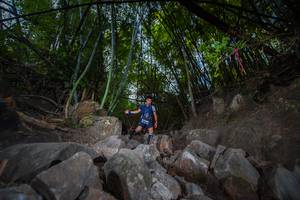 BIB: 
                            <button type="button" onclick="openModal(13694750)" class="btn btn-primary btn-sm float-right btn-popup" data-toggle="modal" data-target=".modal-high-quality">
                        <i class="fas fa-shopping-cart"></i> Add to Cart
                    </button>
                                            <button type="button" onclick="isThisMe(13694750, true)" class="btn btn-success btn-sm float-right btn-popup btn-isme hidden" data-toggle="tooltip" data-placement="bottom" title="นี่คือรูปของคุณใช่ไหม คลิกที่นี่เพื่อเอาเข้าอัลบั้ม">
                        <i class="fas fa-plus"></i> Add to album
                    </button>
                    <button type="button" onclick="isThisMe(13694750, false)" class="btn btn-warning btn-sm float-right btn-popup btn-isnotme hidden">
                        <i class="fas fa-ban"></i> Remove from album
                    </button>