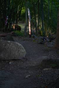 BIB: 
                            <button type="button" onclick="openModal(13659496)" class="btn btn-primary btn-sm float-right btn-popup" data-toggle="modal" data-target=".modal-high-quality">
                        <i class="fas fa-shopping-cart"></i> Add to Cart
                    </button>
                                            <button type="button" onclick="isThisMe(13659496, true)" class="btn btn-success btn-sm float-right btn-popup btn-isme hidden" data-toggle="tooltip" data-placement="bottom" title="นี่คือรูปของคุณใช่ไหม คลิกที่นี่เพื่อเอาเข้าอัลบั้ม">
                        <i class="fas fa-plus"></i> Add to album
                    </button>
                    <button type="button" onclick="isThisMe(13659496, false)" class="btn btn-warning btn-sm float-right btn-popup btn-isnotme hidden">
                        <i class="fas fa-ban"></i> Remove from album
                    </button>