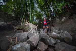 BIB: 
                            <button type="button" onclick="openModal(13693801)" class="btn btn-primary btn-sm float-right btn-popup" data-toggle="modal" data-target=".modal-high-quality">
                        <i class="fas fa-shopping-cart"></i> Add to Cart
                    </button>
                                            <button type="button" onclick="isThisMe(13693801, true)" class="btn btn-success btn-sm float-right btn-popup btn-isme hidden" data-toggle="tooltip" data-placement="bottom" title="นี่คือรูปของคุณใช่ไหม คลิกที่นี่เพื่อเอาเข้าอัลบั้ม">
                        <i class="fas fa-plus"></i> Add to album
                    </button>
                    <button type="button" onclick="isThisMe(13693801, false)" class="btn btn-warning btn-sm float-right btn-popup btn-isnotme hidden">
                        <i class="fas fa-ban"></i> Remove from album
                    </button>