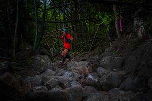 BIB: 
                            <button type="button" onclick="openModal(13682990)" class="btn btn-primary btn-sm float-right btn-popup" data-toggle="modal" data-target=".modal-high-quality">
                        <i class="fas fa-shopping-cart"></i> Add to Cart
                    </button>
                                            <button type="button" onclick="isThisMe(13682990, true)" class="btn btn-success btn-sm float-right btn-popup btn-isme hidden" data-toggle="tooltip" data-placement="bottom" title="นี่คือรูปของคุณใช่ไหม คลิกที่นี่เพื่อเอาเข้าอัลบั้ม">
                        <i class="fas fa-plus"></i> Add to album
                    </button>
                    <button type="button" onclick="isThisMe(13682990, false)" class="btn btn-warning btn-sm float-right btn-popup btn-isnotme hidden">
                        <i class="fas fa-ban"></i> Remove from album
                    </button>