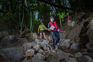 BIB: 
                            <button type="button" onclick="openModal(13682481)" class="btn btn-primary btn-sm float-right btn-popup" data-toggle="modal" data-target=".modal-high-quality">
                        <i class="fas fa-shopping-cart"></i> Add to Cart
                    </button>
                                            <button type="button" onclick="isThisMe(13682481, true)" class="btn btn-success btn-sm float-right btn-popup btn-isme hidden" data-toggle="tooltip" data-placement="bottom" title="นี่คือรูปของคุณใช่ไหม คลิกที่นี่เพื่อเอาเข้าอัลบั้ม">
                        <i class="fas fa-plus"></i> Add to album
                    </button>
                    <button type="button" onclick="isThisMe(13682481, false)" class="btn btn-warning btn-sm float-right btn-popup btn-isnotme hidden">
                        <i class="fas fa-ban"></i> Remove from album
                    </button>